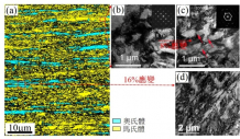 圖4	 （a）電子背散射衍射（EBSD）相圖展示了D&P的片層狀結構，其中奧氏體(() 嵌入在回火馬氏體(')中。 （b）透射電子顯微鏡（TEM）圖片放大顯示了馬氏體中的位錯結構。 （c）TEM圖片展示了馬氏體中的位錯結構在8%拉伸變形後明顯變長。 （d）TEM圖片證實了奧氏體在拉伸至16%的應變過程中相變成了馬氏體。