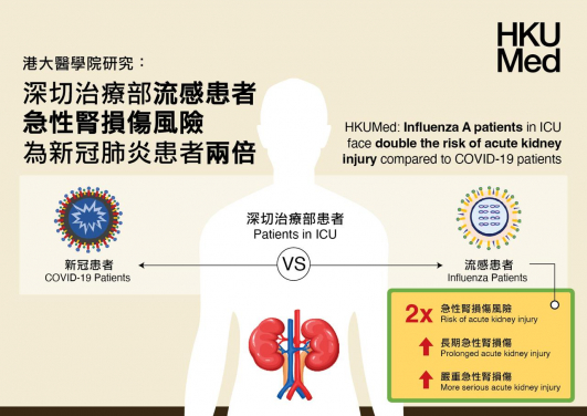 港大醫學院發現重症流感患者較易患急性腎損傷風險為新型冠狀病毒患者兩倍