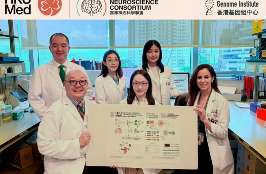 港大醫學院與香港基因組中心突破腦癌研究　 發現膠質母細胞瘤新標靶