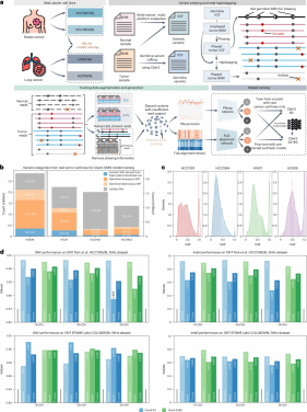 Enhancung ClairS with real cancer cell line datasets